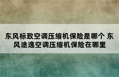 东风标致空调压缩机保险是哪个 东风途逸空调压缩机保险在哪里